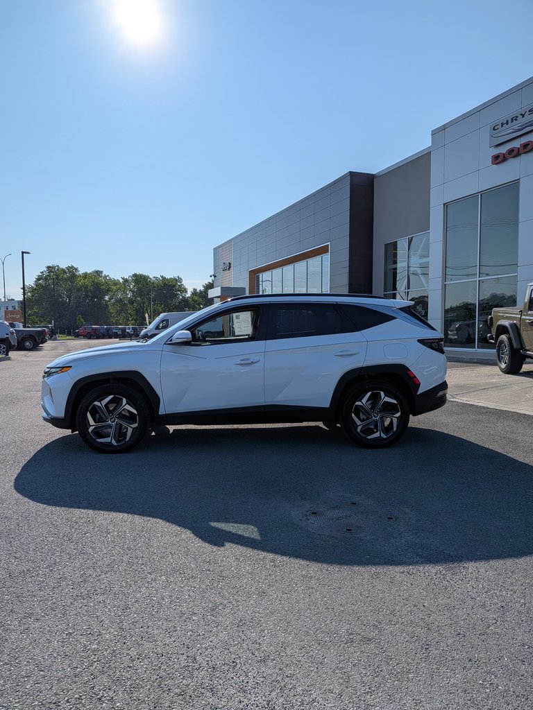 2023 Hyundai Tucson Hybrid Luxury-2