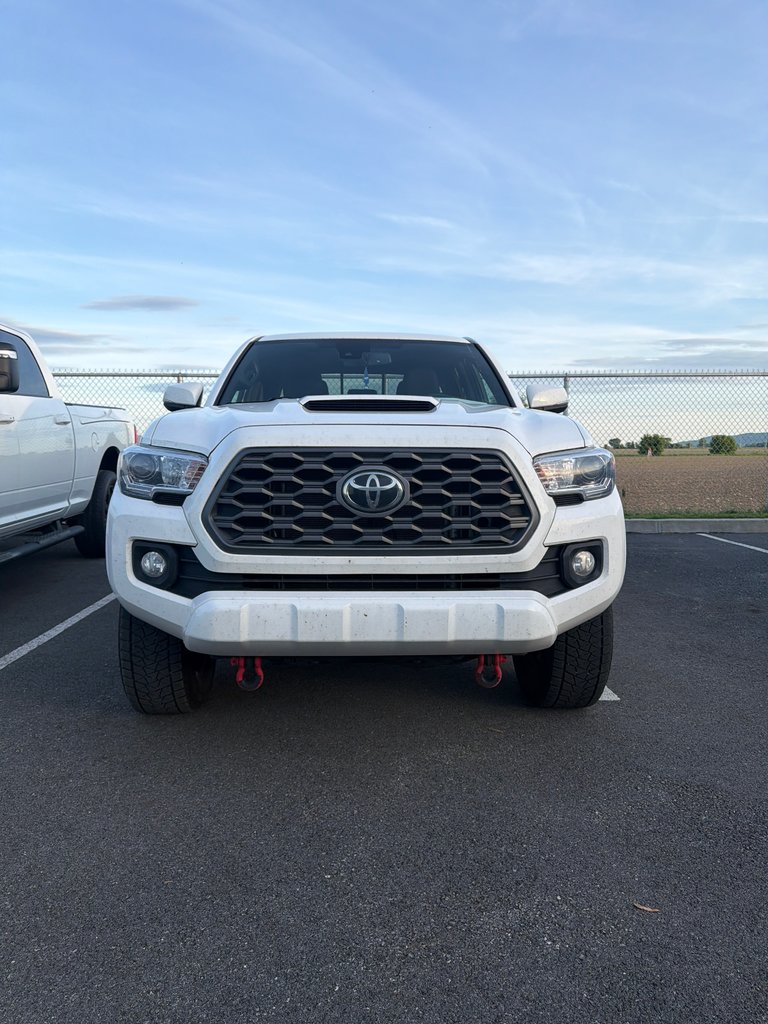 2023 Toyota Tacoma TRD Sport-6