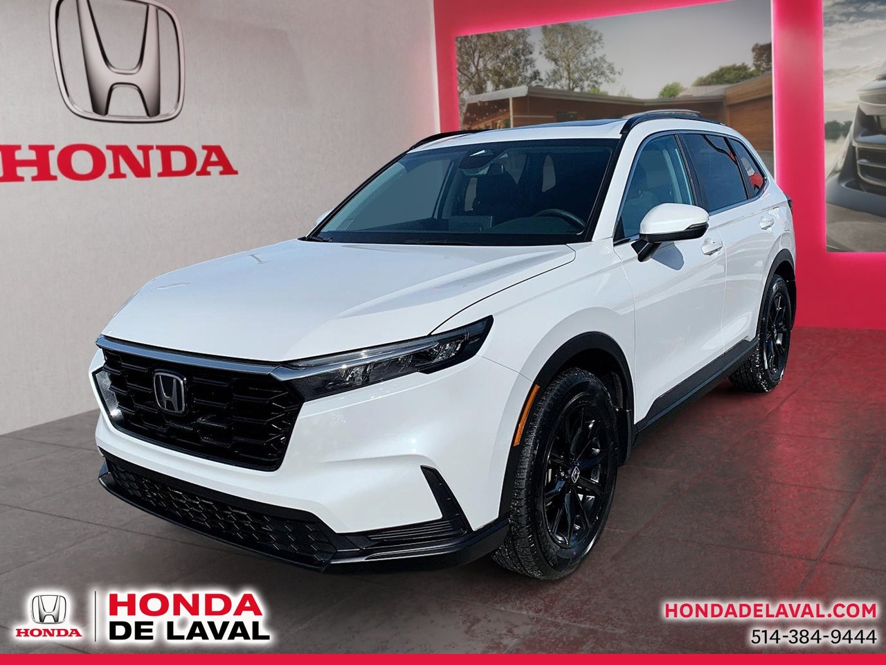 Used Honda Cr V 2023