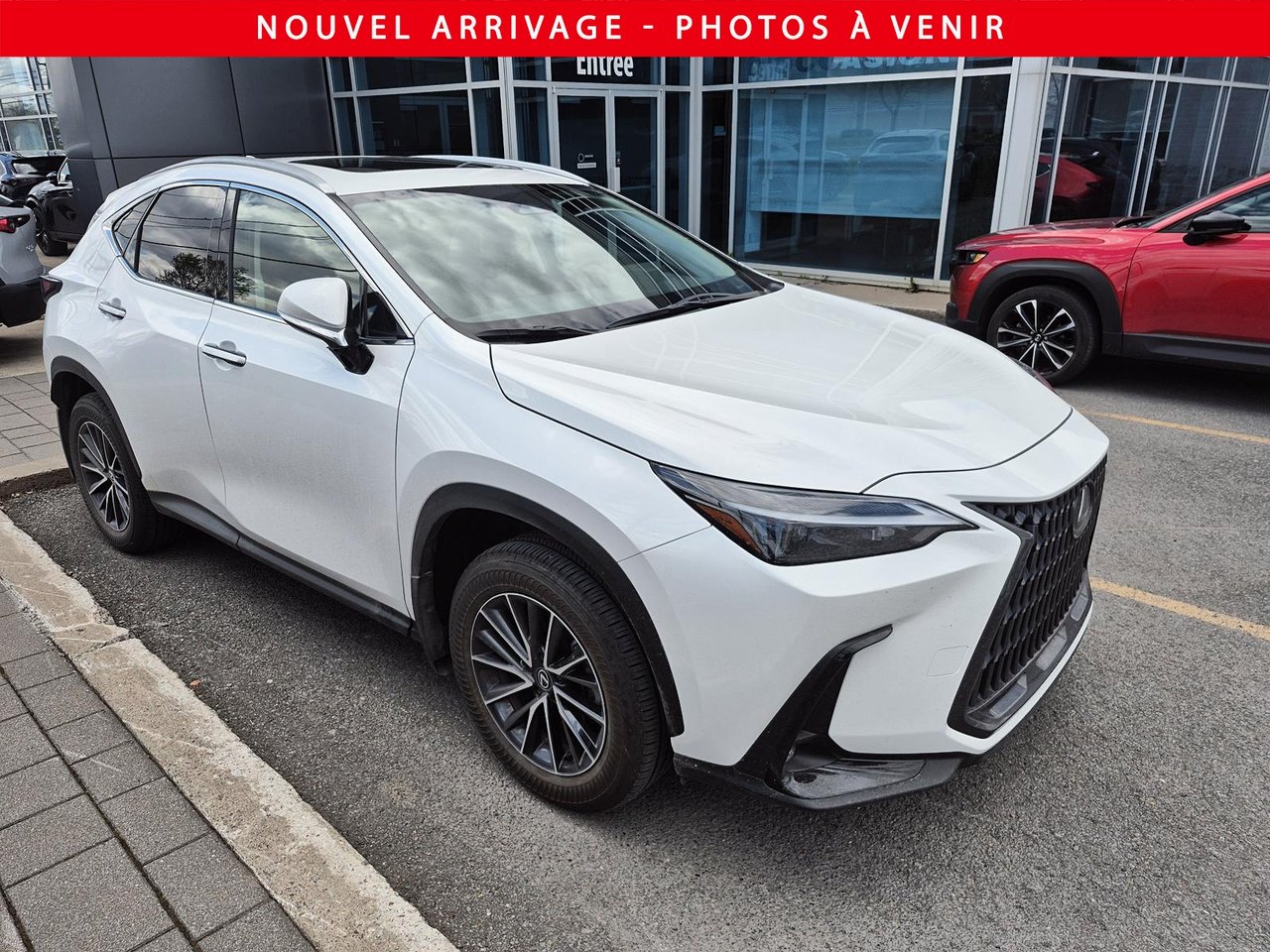 Lexus NX 350h 2025-2