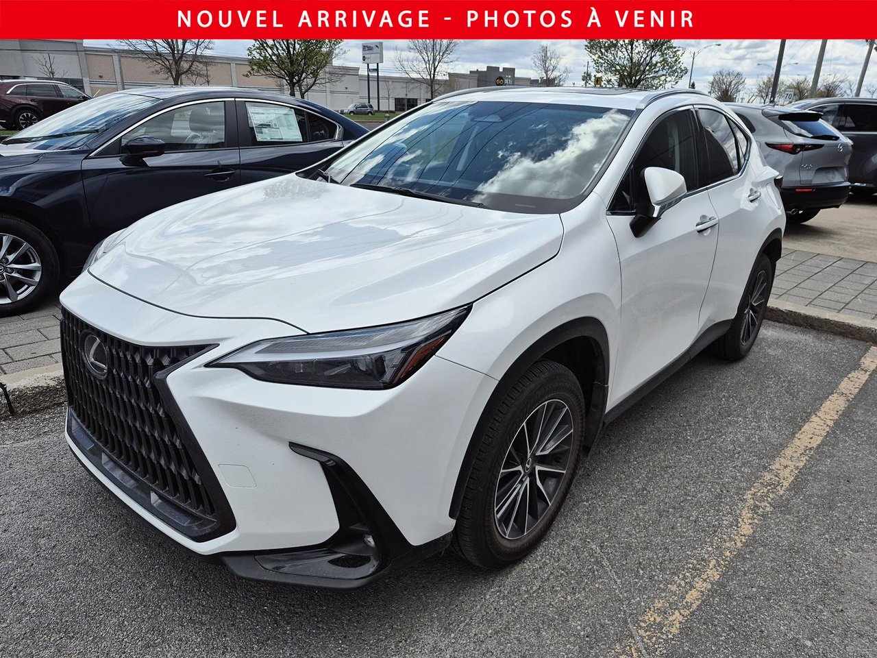 Lexus NX 350h 2025-0