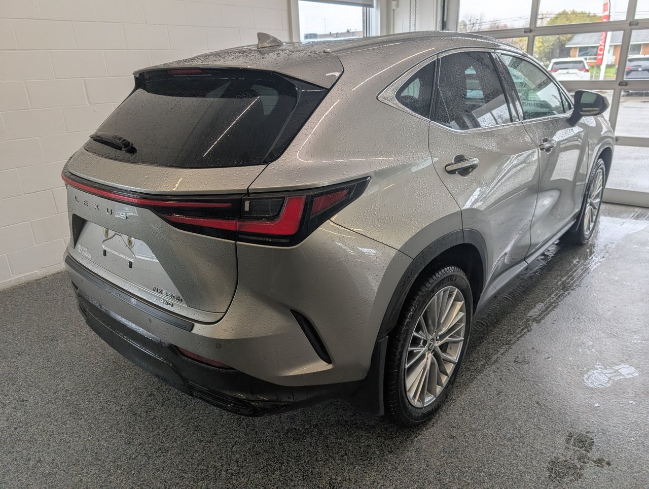 2024 Lexus NX
