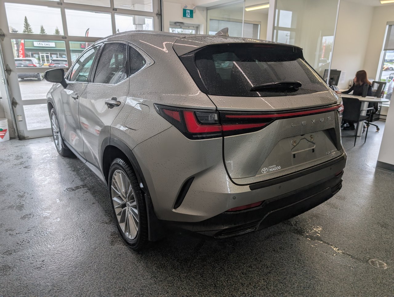 2024 Lexus NX