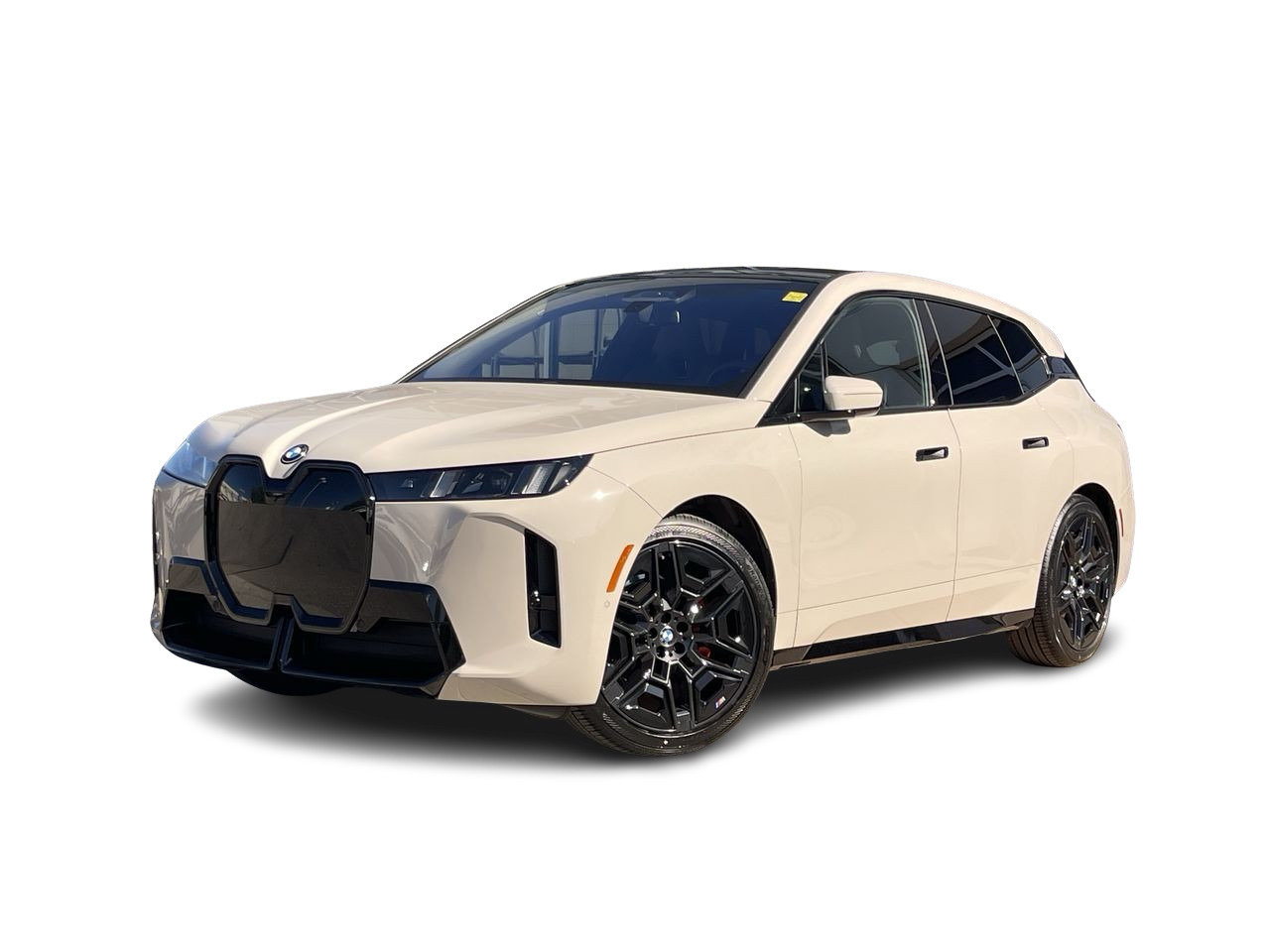 Gray (Dune Grey Metallic) 2026 BMW iX SUV / Crossover All-Wheel Drive Automatic