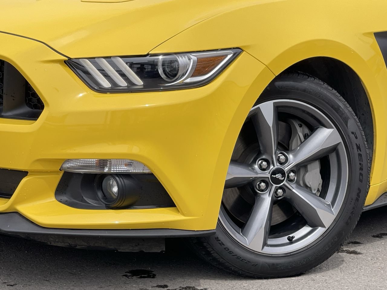 Used 2015 Triple Yellow Tri-Coat Ford GT image 18