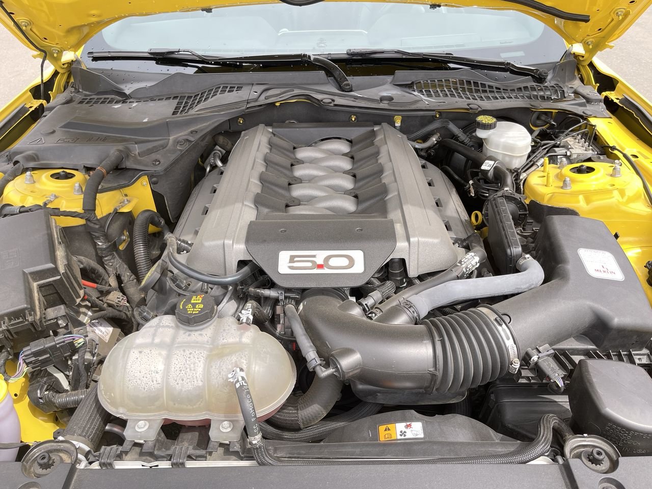 Used 2015 Triple Yellow Tri-Coat Ford GT image 32