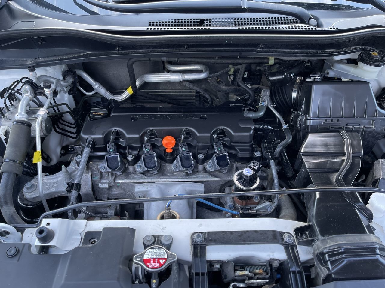 Used 2019  Honda LX HS 2WD CVT, Heated Seats image 31