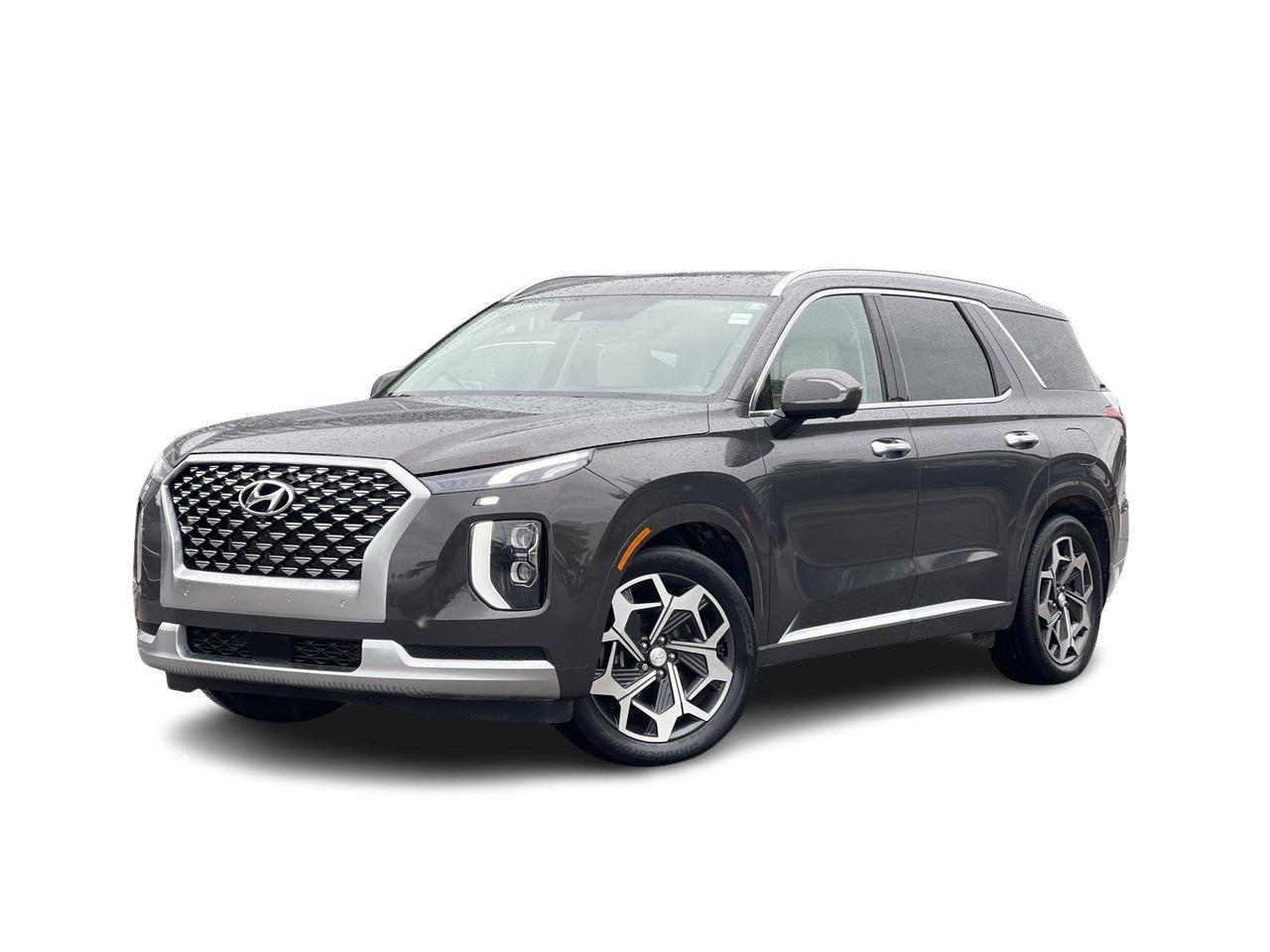 Taiga Brown Pearl 2021 Hyundai Palisade SUV / Crossover Automatic
