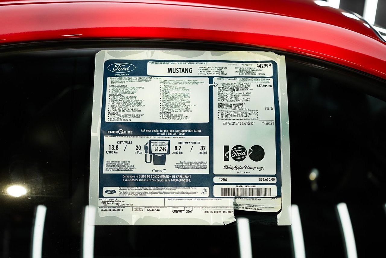 2003 Ford Mustang Mach 1-50