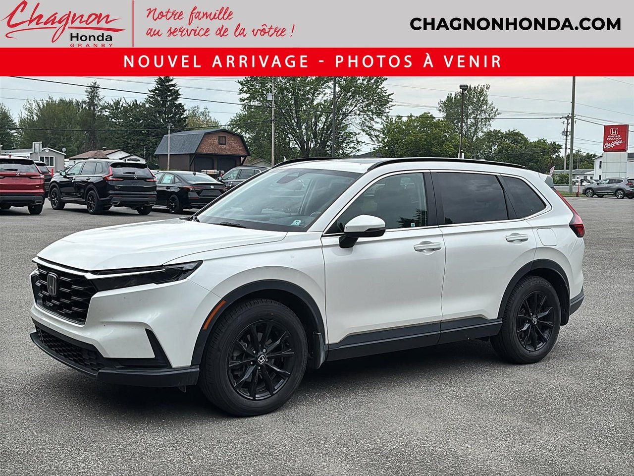 Platinum White Pearl 2024 Honda CR-V SUV / Crossover  Continuously Variable Transmission