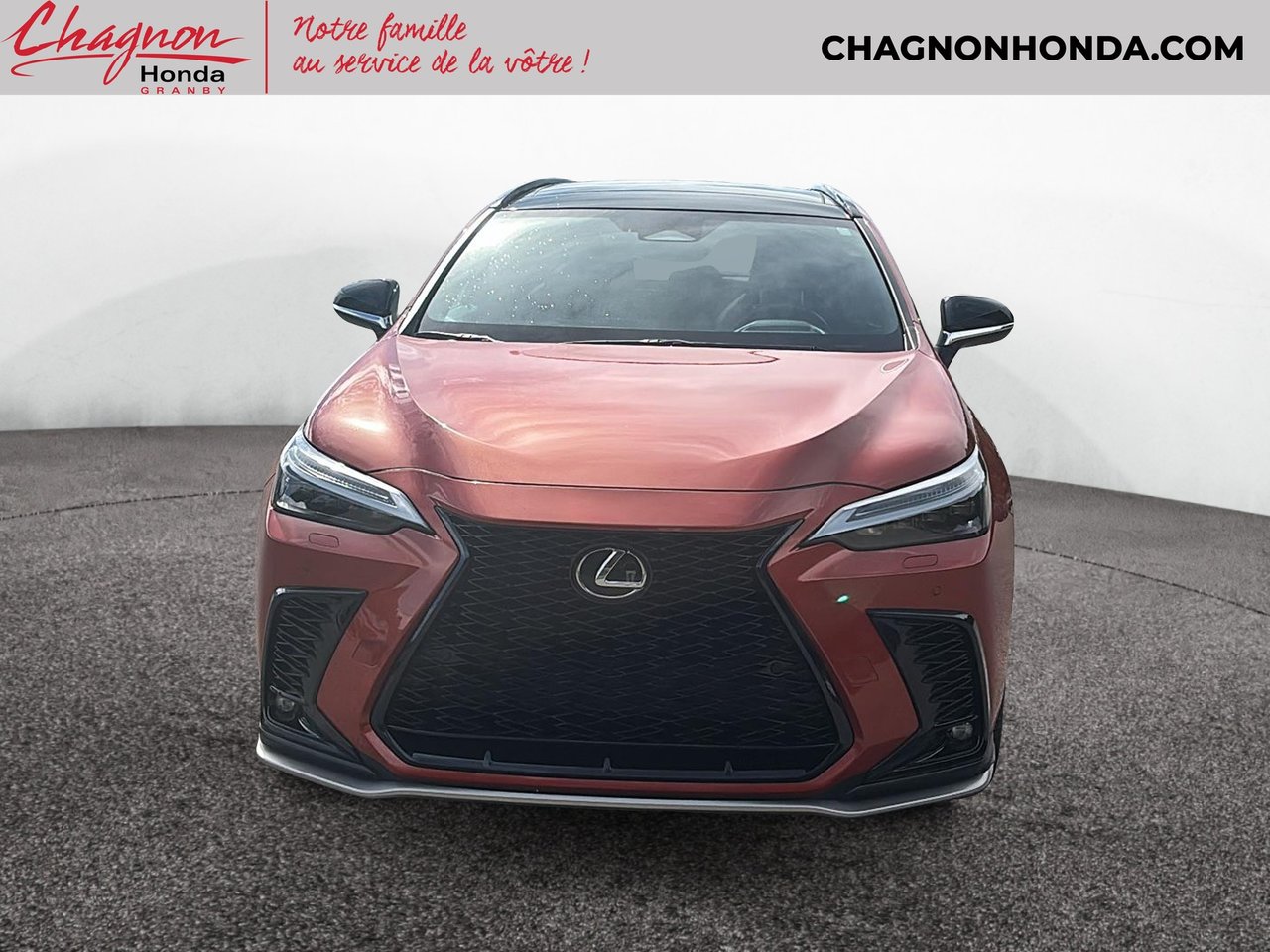Lexus NX 2022