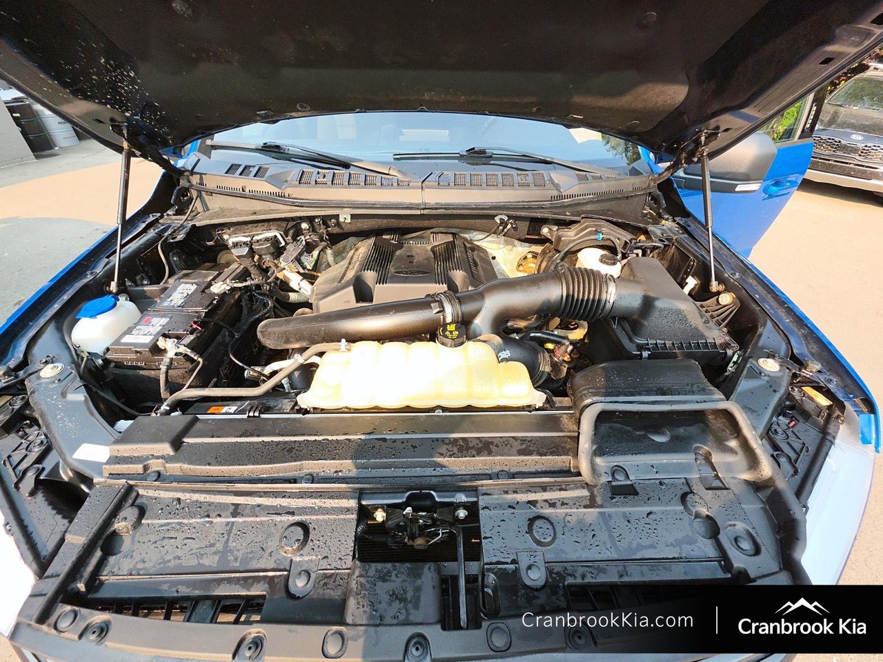2019 Ford F-150 XLT-7