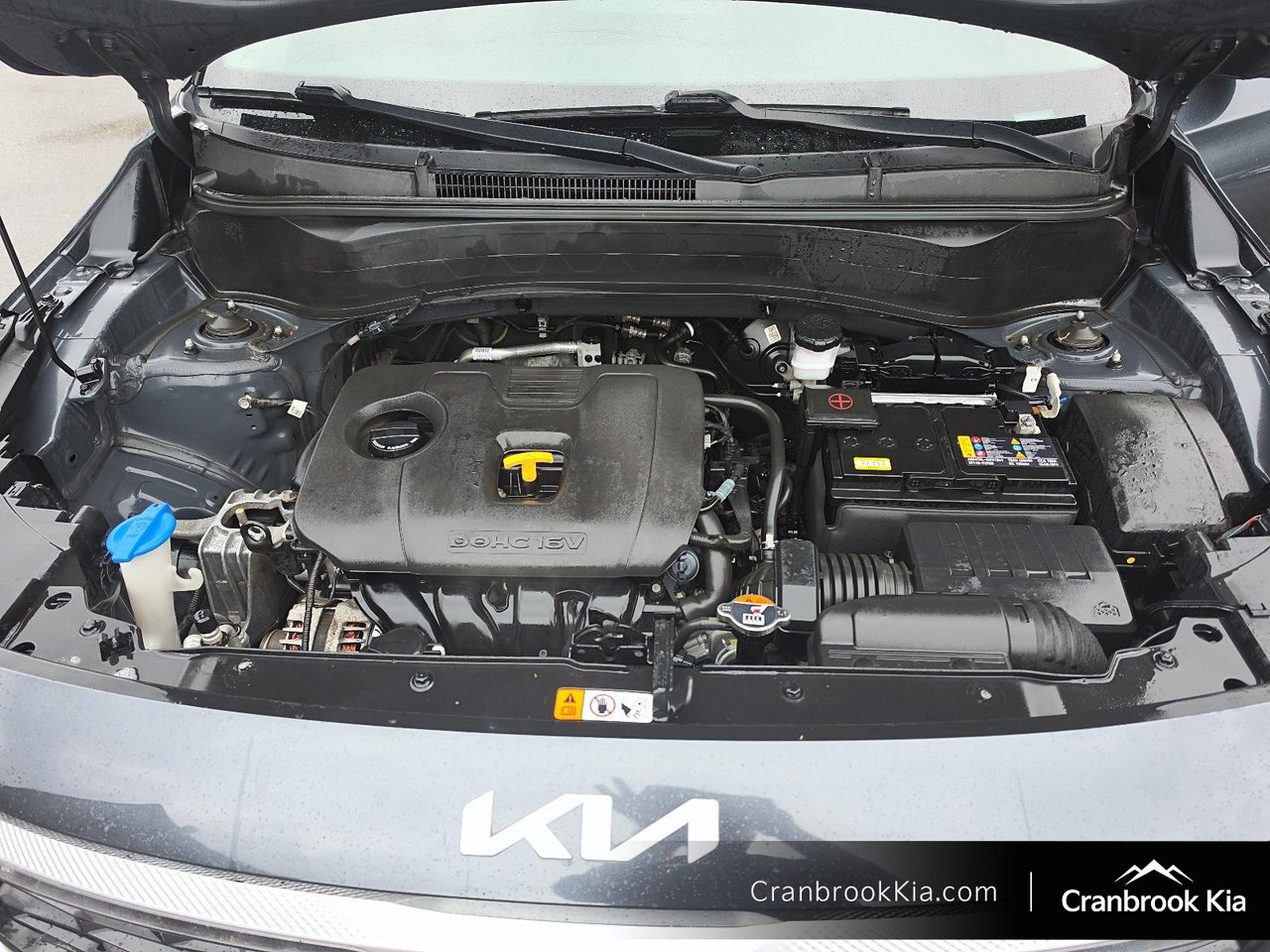 2022 Kia Seltos EX-7