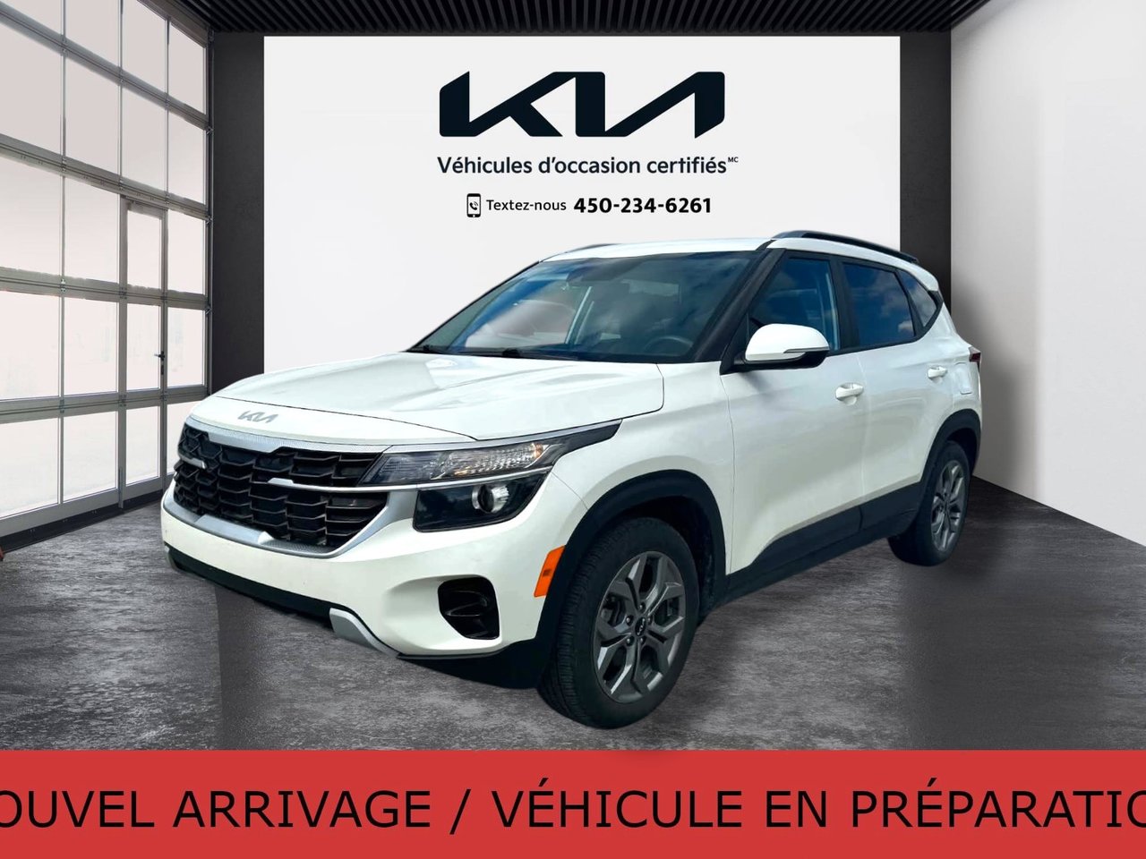Snow White Pearl 2024 Kia Seltos SUV / Crossover  Automatic