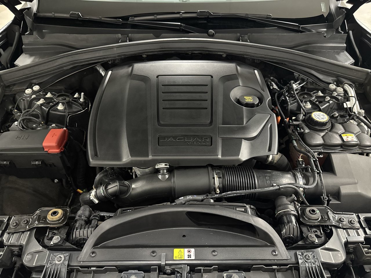 Jaguar F-PACE P250 R-DYNAMIC 2022-25