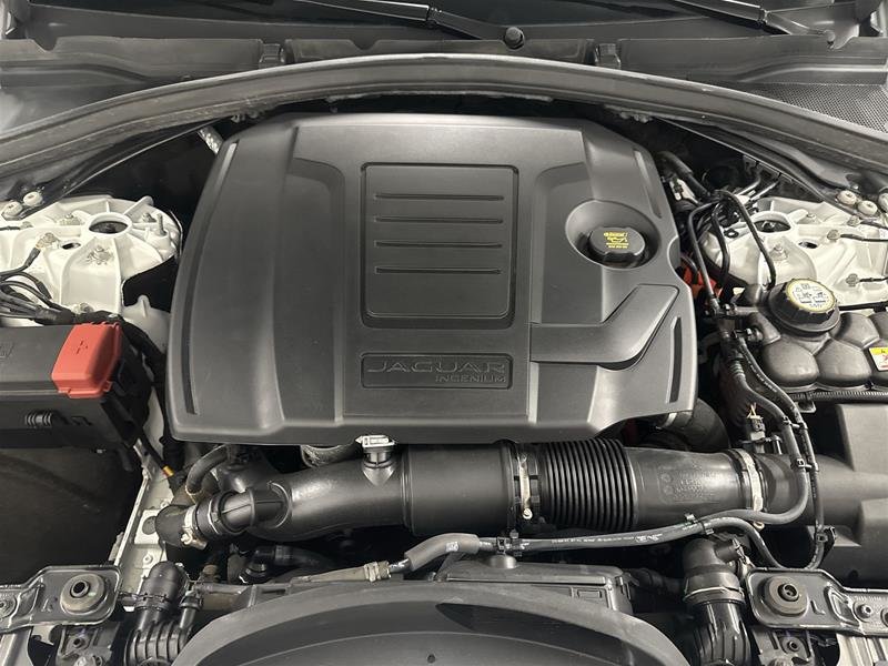 Jaguar F-PACE P250 R-DYNAMIC S 2024-17