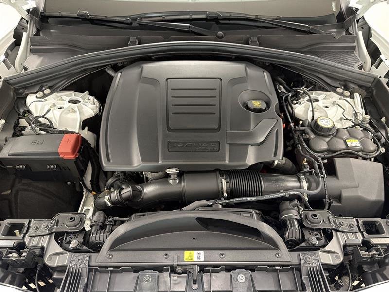 2024 Jaguar F-PACE P250 R-DYNAMIC S-17