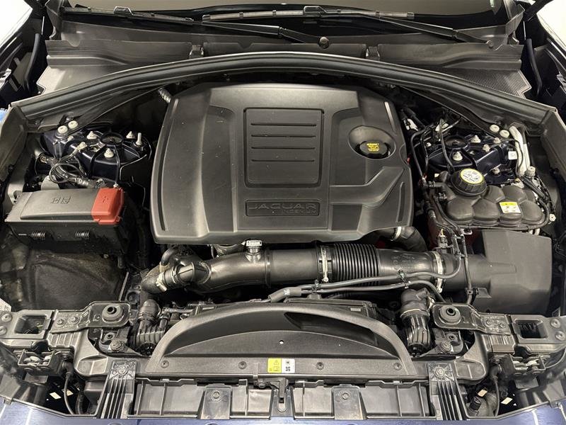 2026 Jaguar F-PACE P250 R-Dynamic S Auto-17