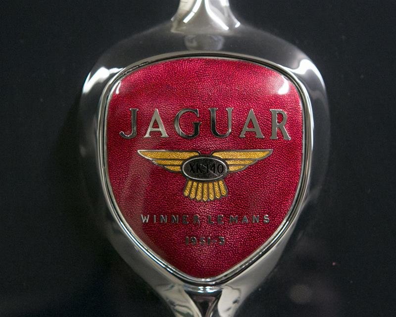 Jaguar Unlisted Item  1955-8