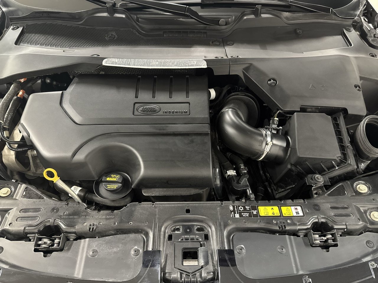 Land Rover Range Rover Evoque P250 S 2023-25
