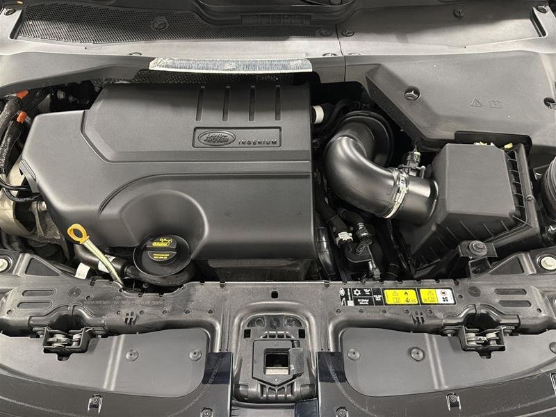 Land Rover Range Rover Evoque P250 Dynamic SE 2024-17