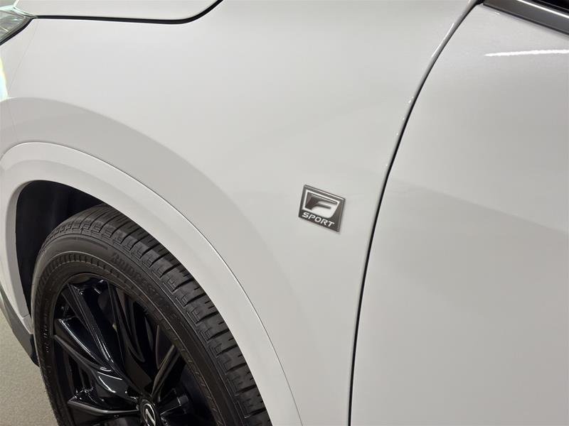 2024 Lexus NX 350-17