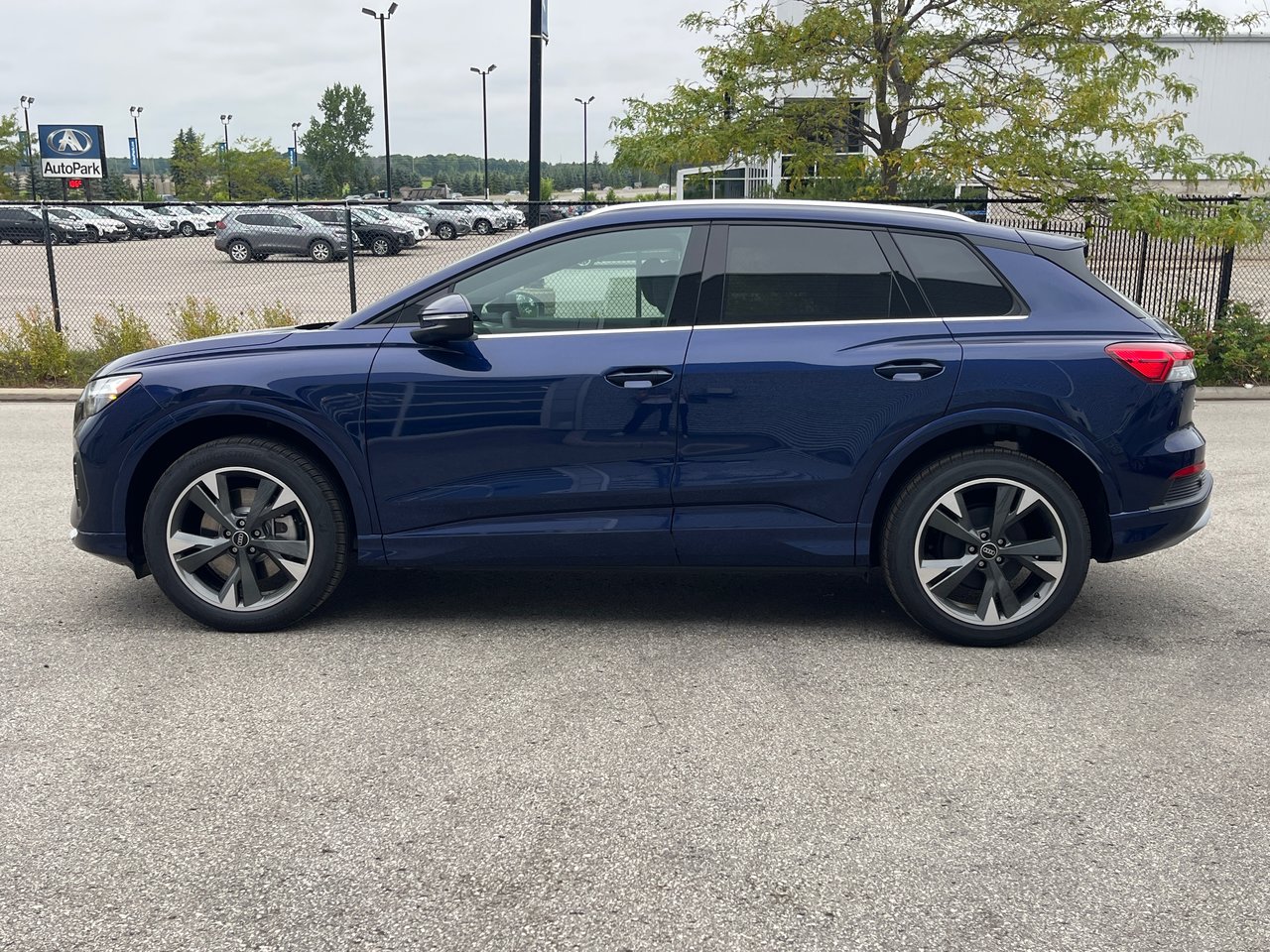New 2023 Navarra blue metallic Audi 50 quattro image 4