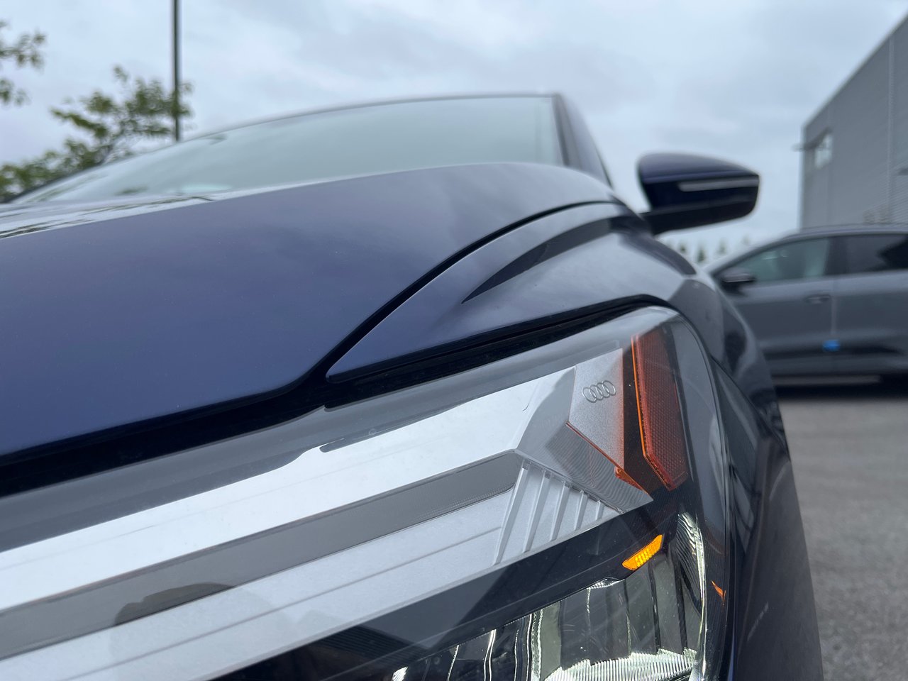 New 2023 Navarra blue metallic Audi 50 quattro image 22