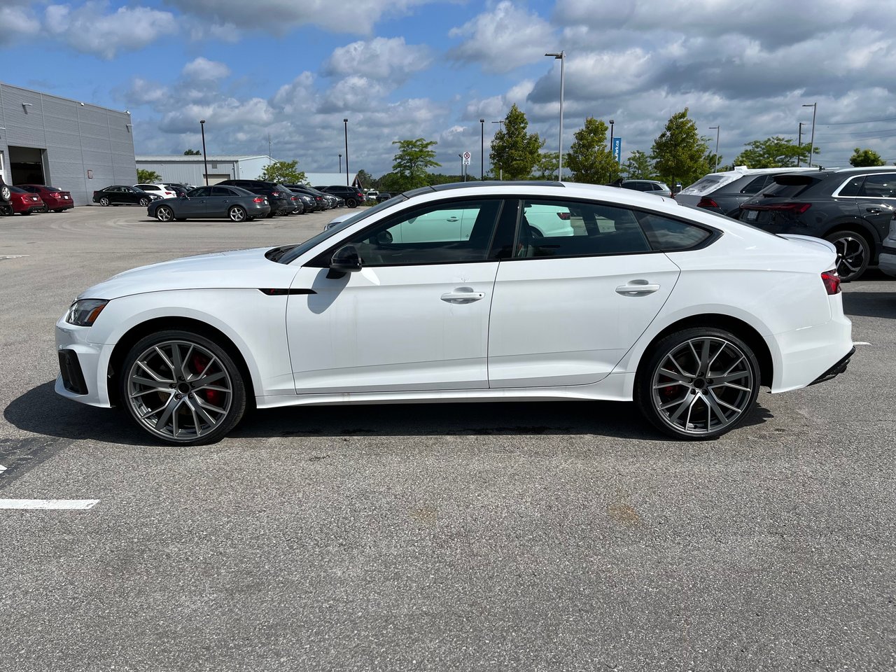 New 2023 Ibis white Audi Progressiv image 3