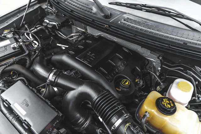 2014 Ford F-150-16
