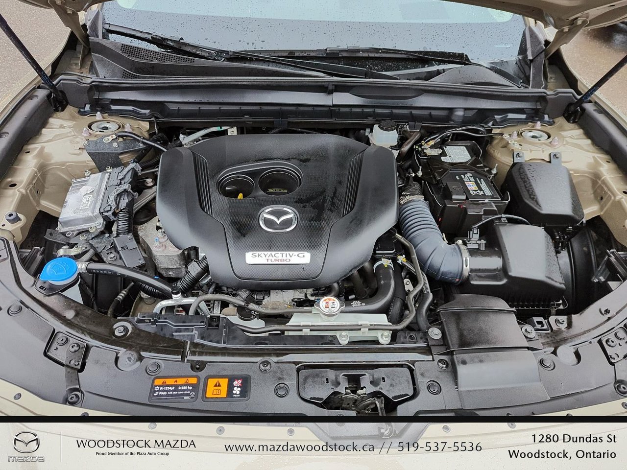 2025 Mazda CX-50 Meridian Edition-7