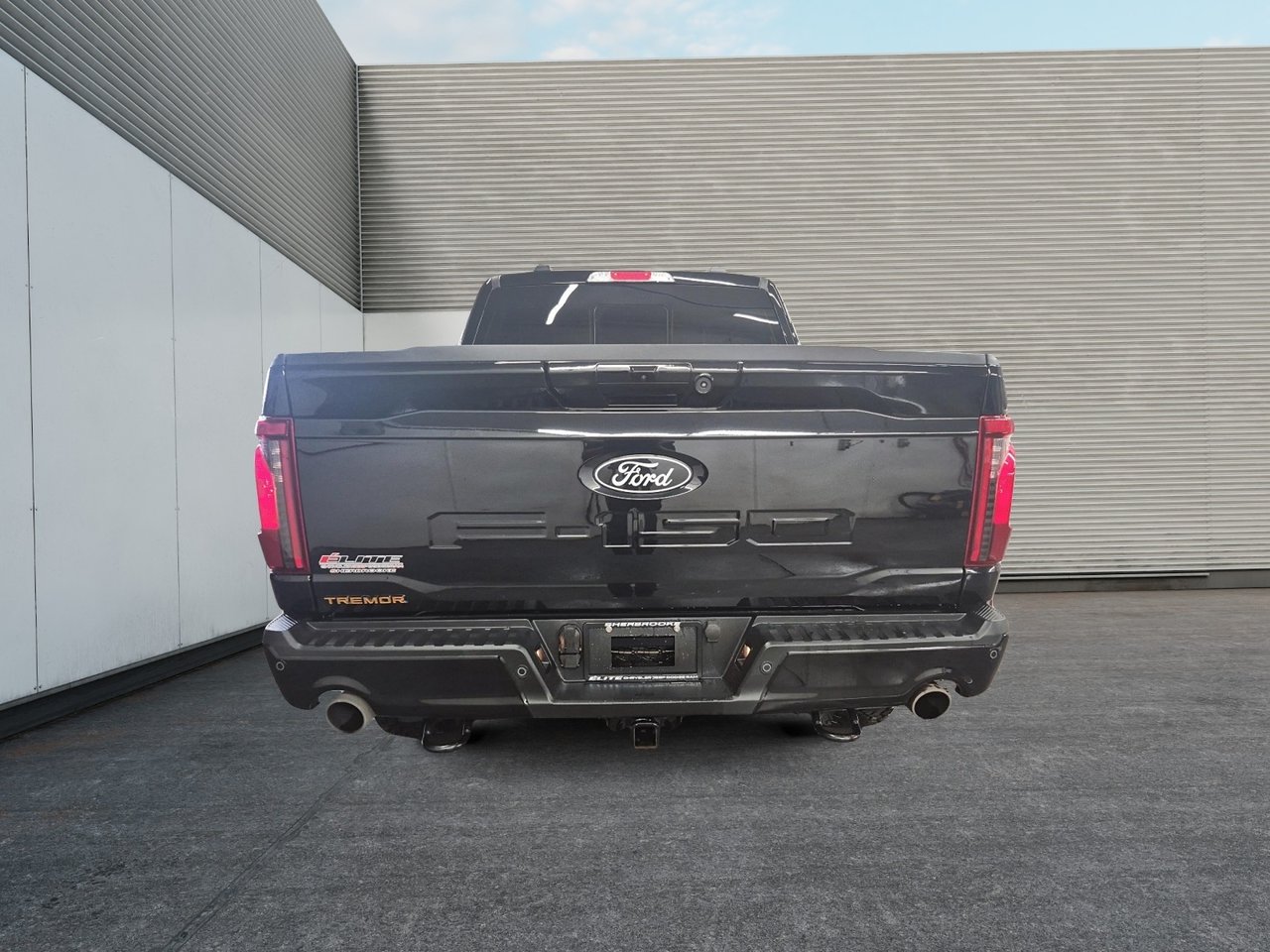 2025 Ford F-150 Tremor-2
