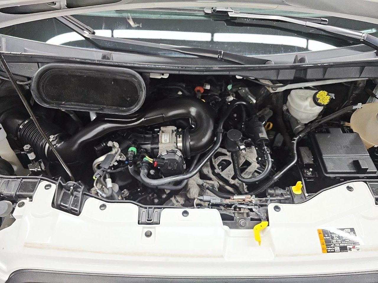 Ford Transit Cargo Van TRANSIT // CARGO 2023-7