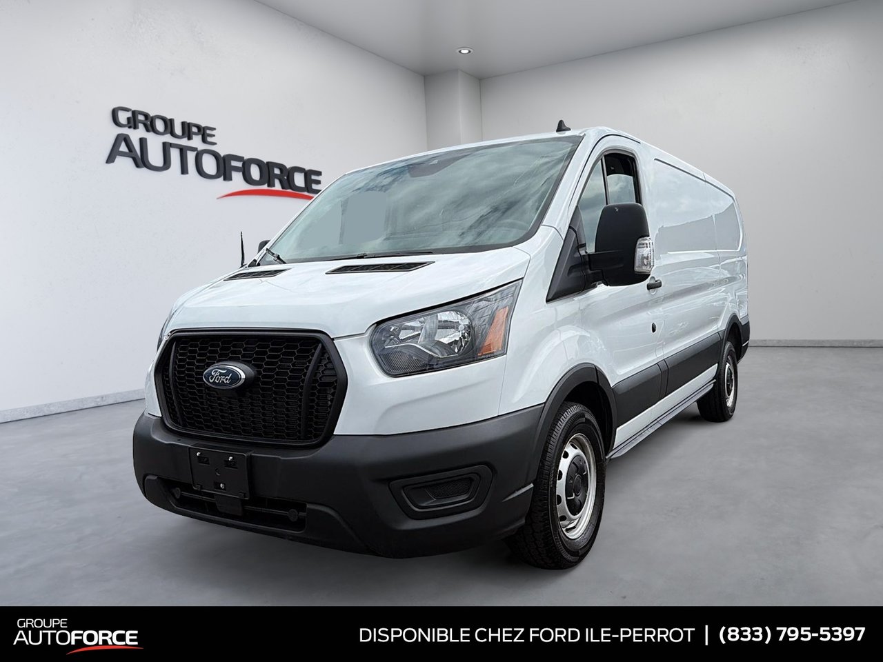 Ford Transit Cargo 2024