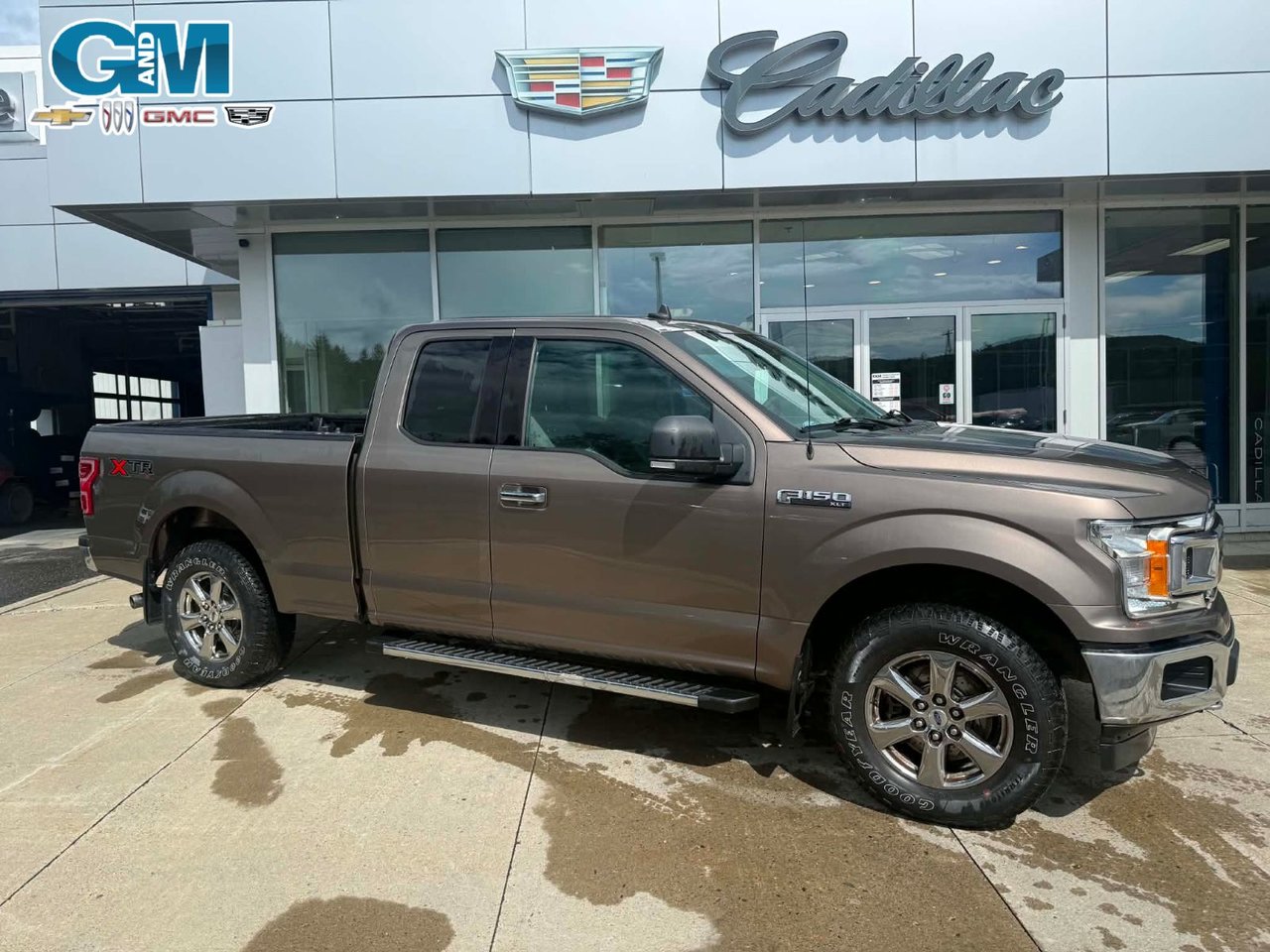 Gray (Stone Grey) 2020 Ford F-150 Pickup Truck Automatic