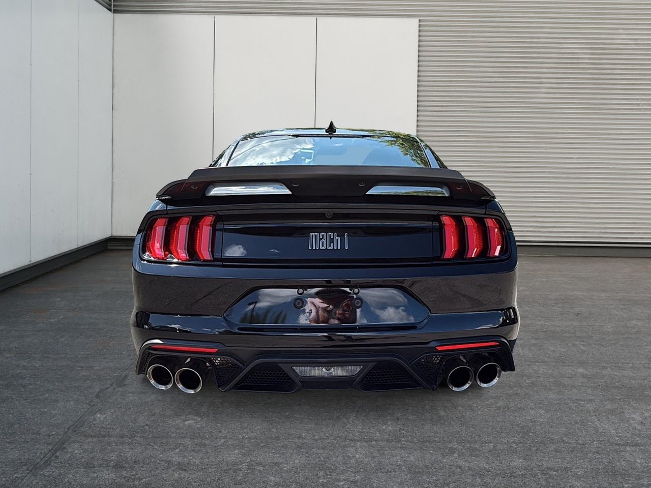 2021 Ford Mustang