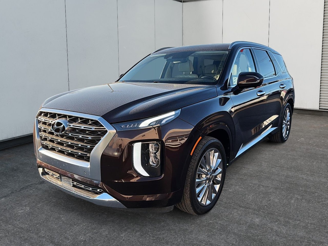 2020 Hyundai Palisade Ultimate-0