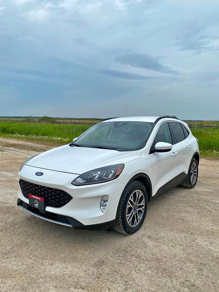 White 2020 Ford Escape SUV / Crossover All-Wheel Drive Automatic
