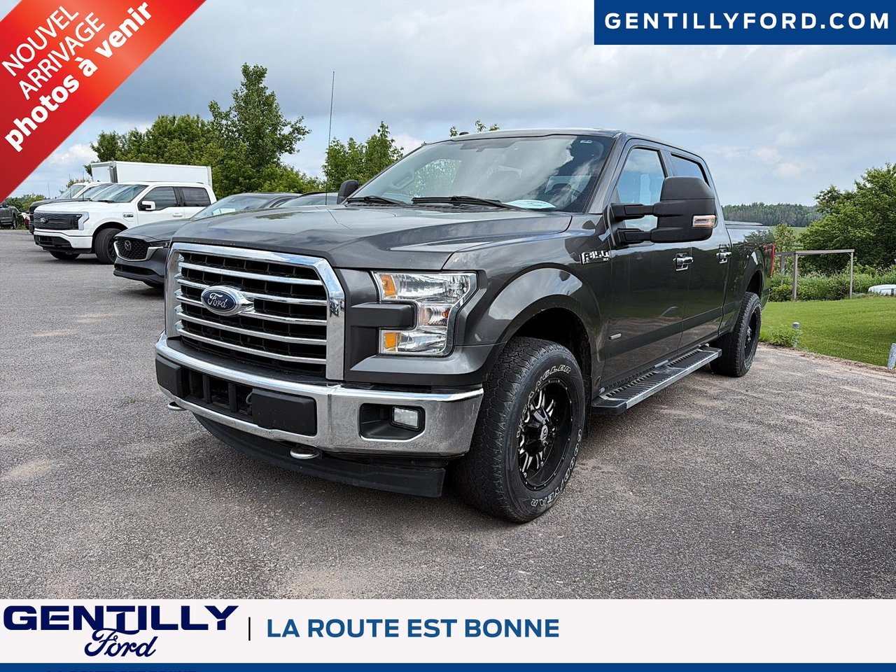 Gray 2017 Ford F-150 Pickup Truck  Automatic