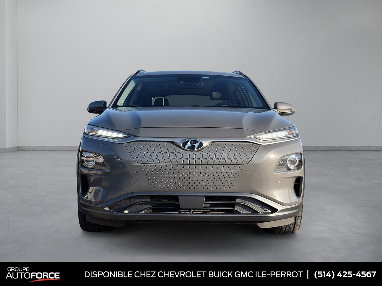 2019 Hyundai Kona electric