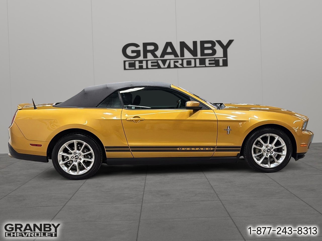 Ford Mustang 2010