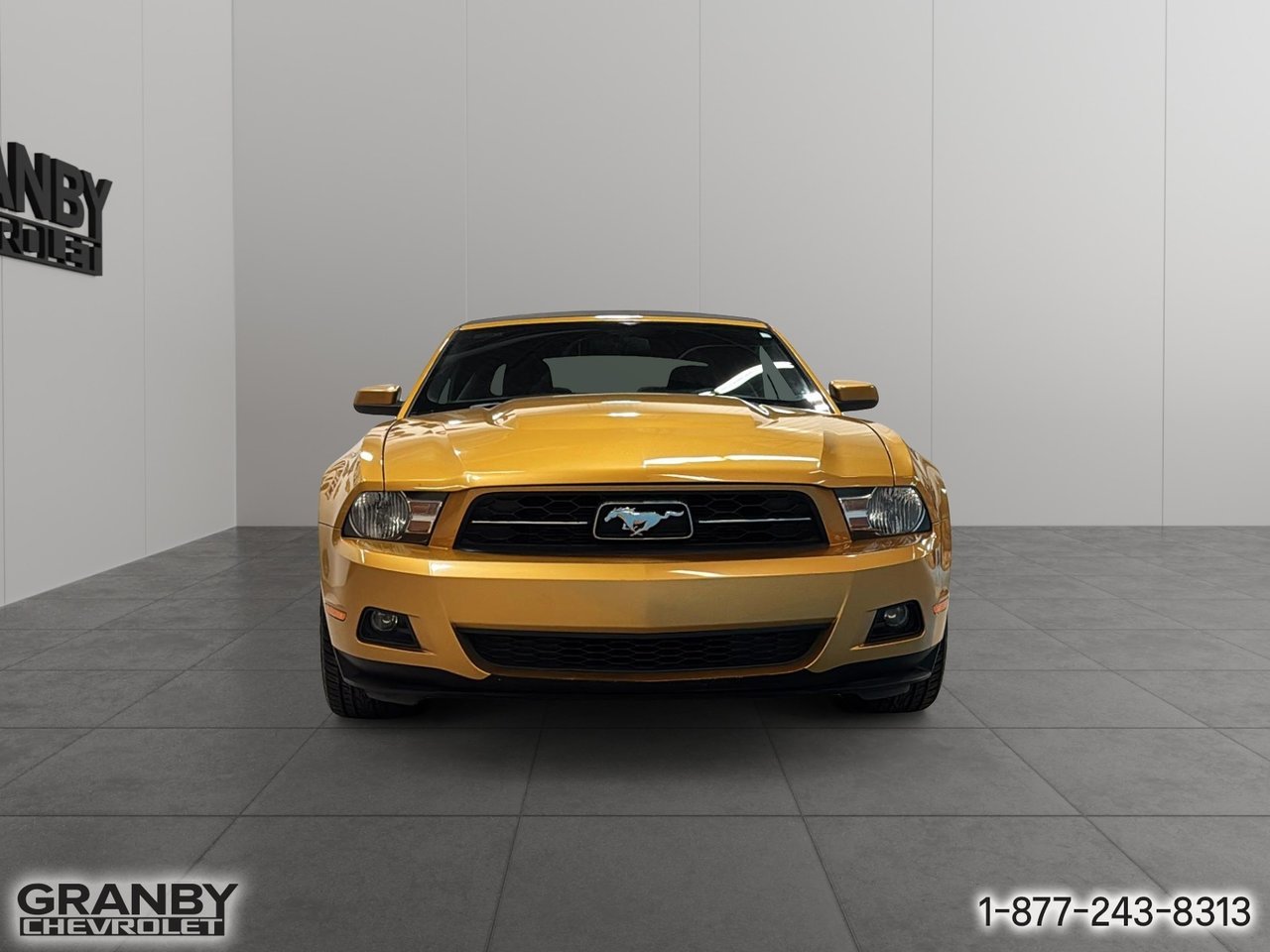 Ford Mustang 2010