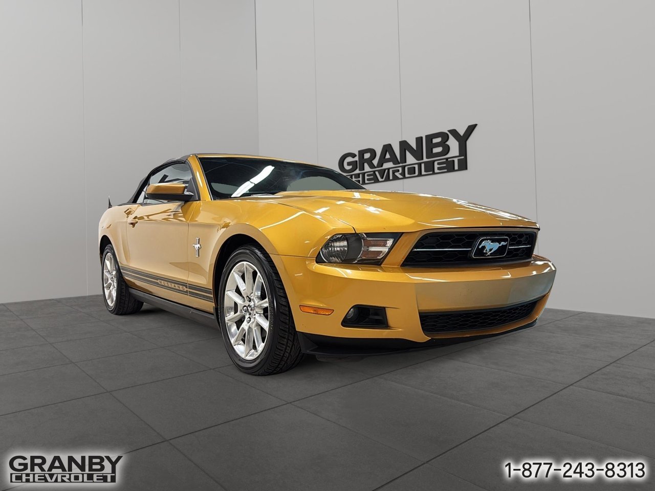 Ford Mustang 2010