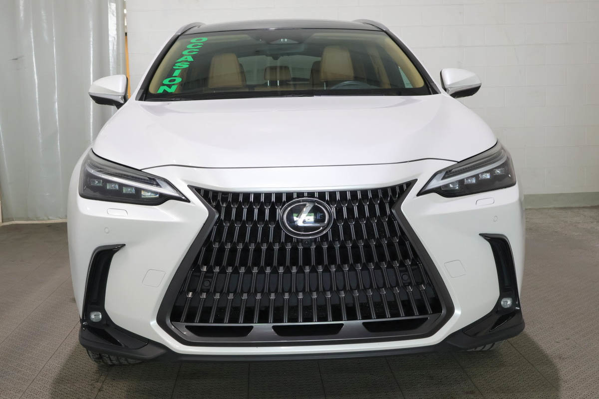 2024 Lexus NX