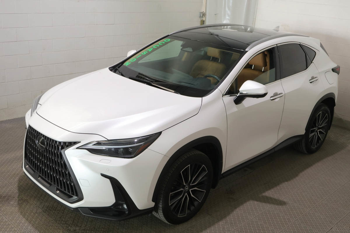 2024 Lexus NX