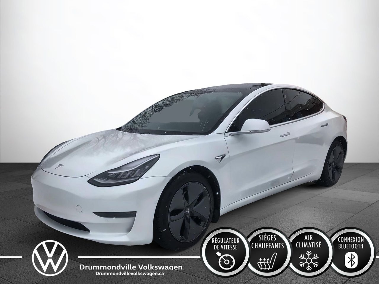 Tesla Model 3 2020 Standard Range Plus + AUTONOMIE DE 448KM + GP