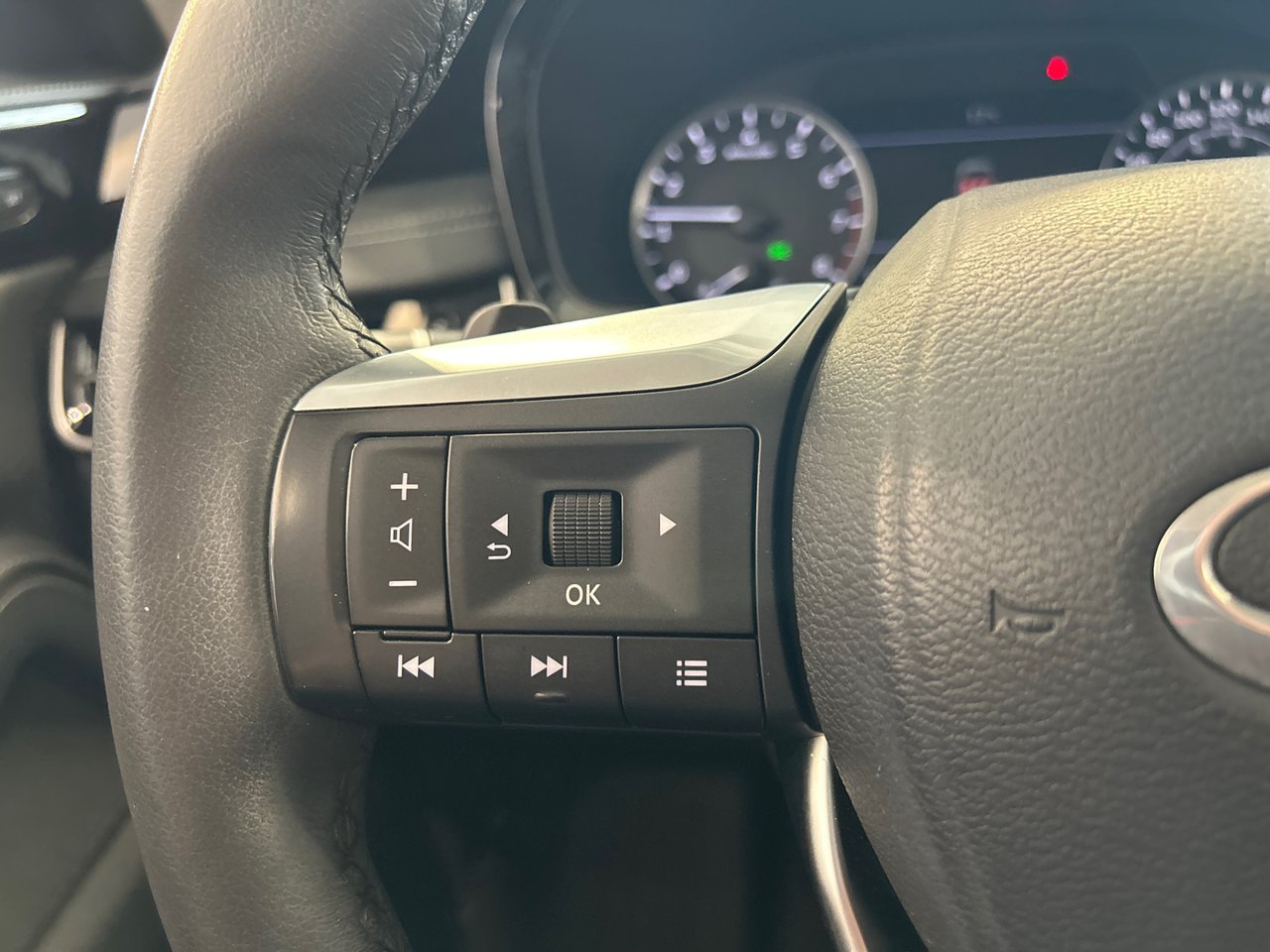 2023 Infiniti QX60 PURE-24