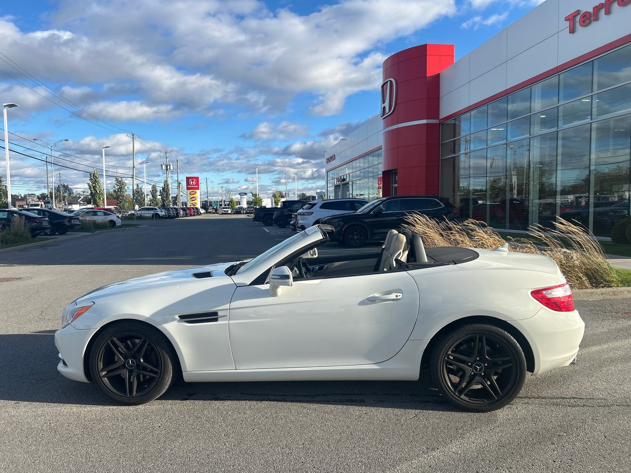 2013 Mercedes-Benz SLK-Class SLK 250-1