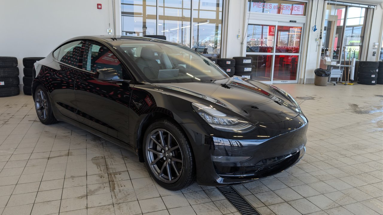 2020 Tesla Model 3 Standard Range Plus-2