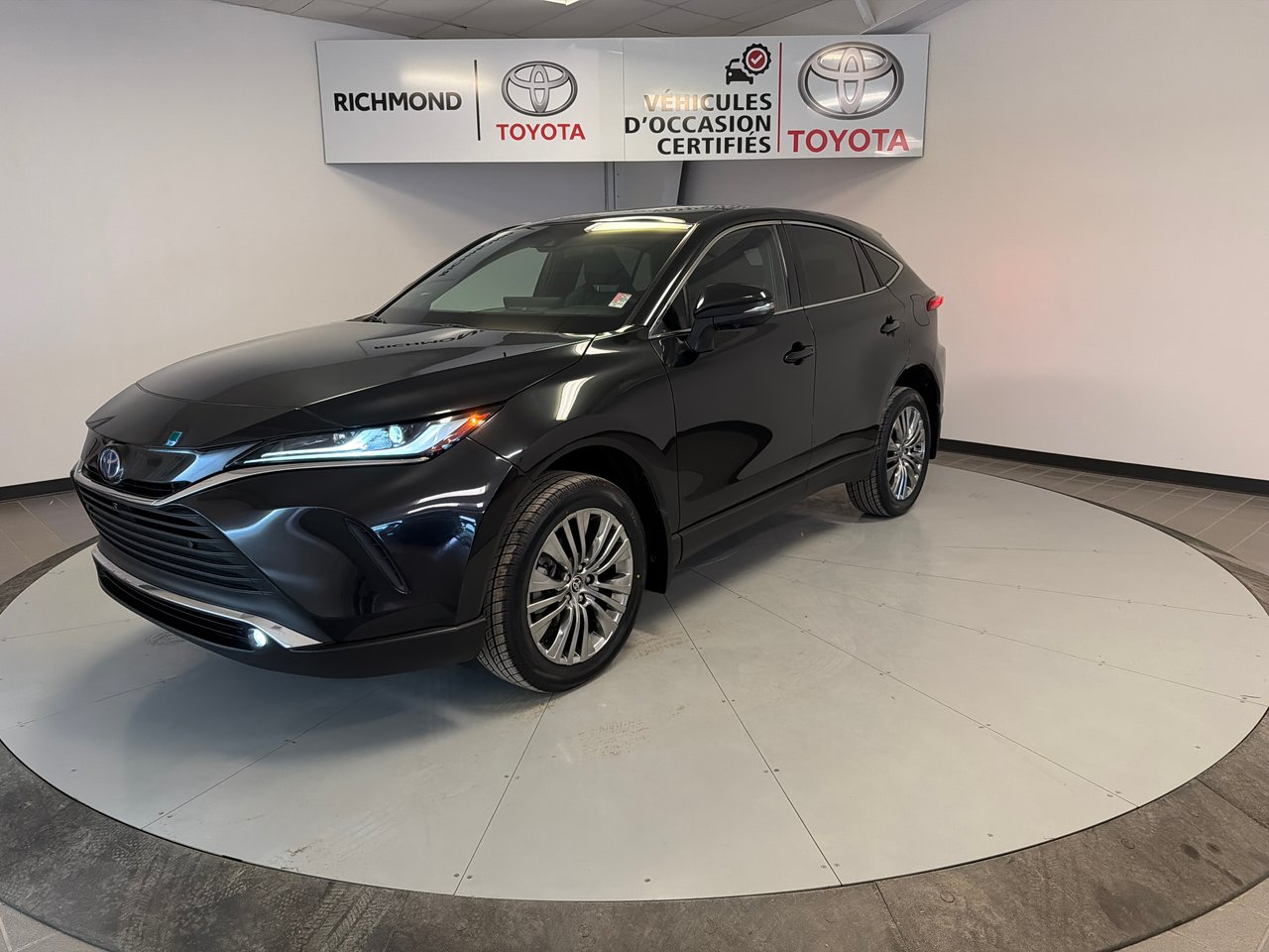 2024 Toyota Venza Hybrid LIMITED-1